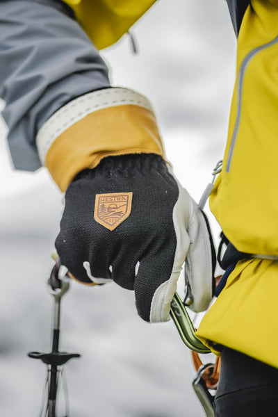Hestra Ergo Grip Alpha Glove 2026