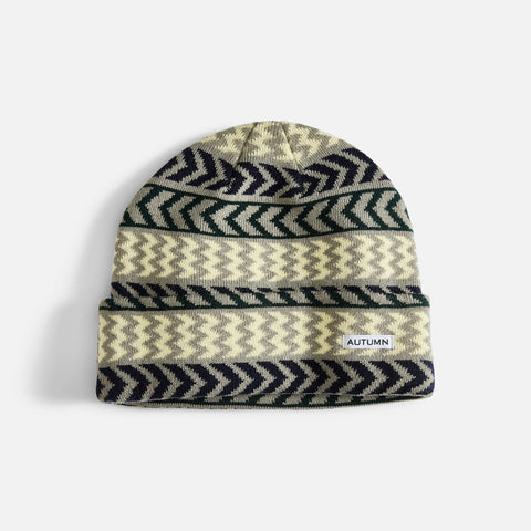 Autumn Chevron Beanie 2025