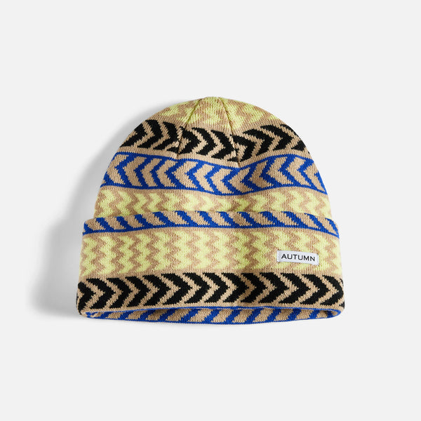 Autumn Chevron Beanie 2025