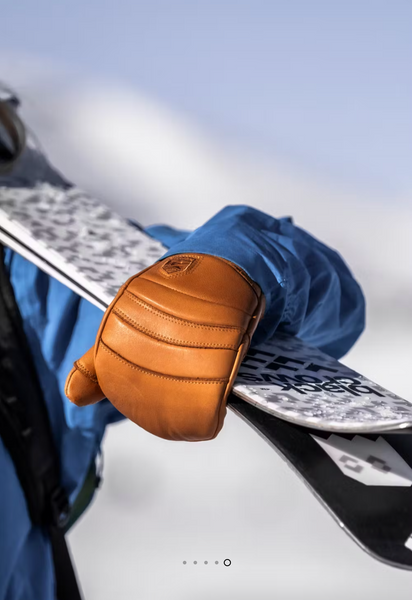 Hestra Fall Line Mitten 2026