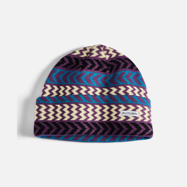 Autumn Chevron Beanie 2025